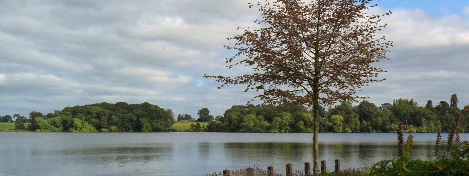 The Mere, Ellesmere